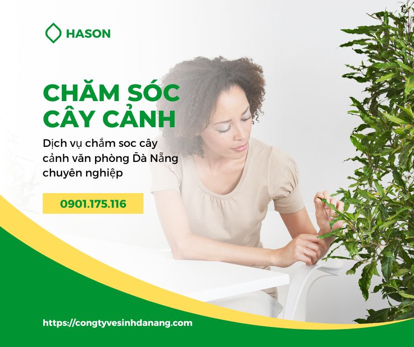 Dịch vụ chăm sóc cây cảnh tại Đà Nẵng chuyên nghiệp