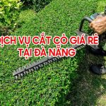 Dịch vụ cắt cỏ tại Đà Nẵng – Cắt tỉa cây xanh, dọn vườn, phát hoang cỏ dại